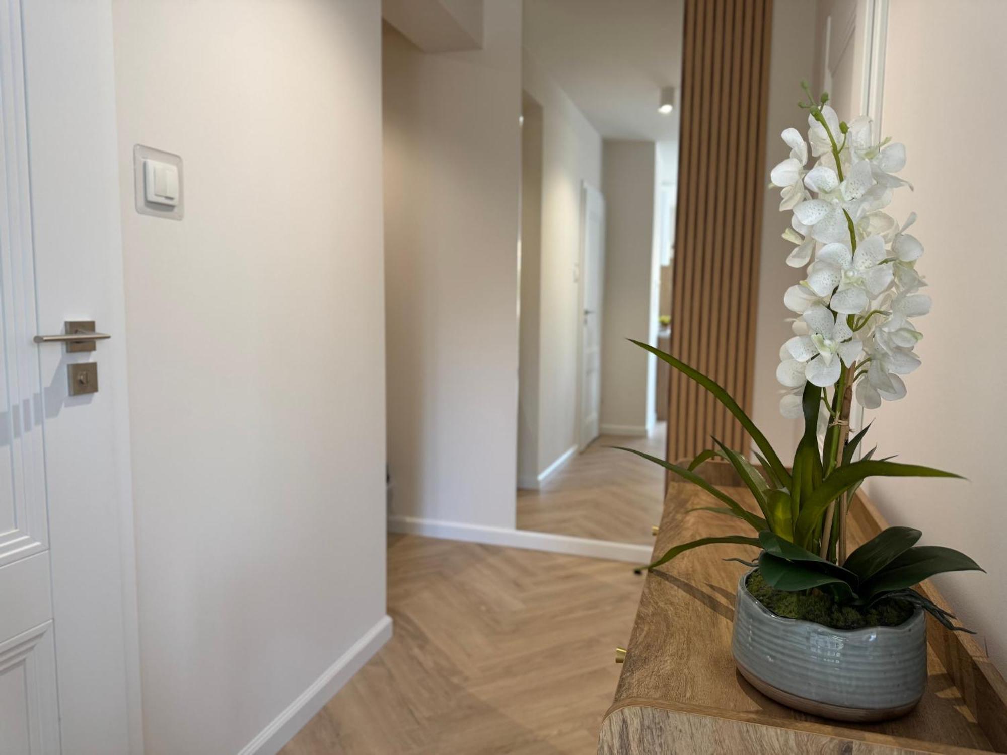 Apartamenty Baltica -Zielone Tarasy Kołobrzeg Εξωτερικό φωτογραφία